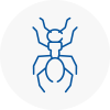 Ant Removals In Lee