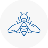 Bee Nest Removal Lee