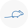 Mice Exterminators In Lee