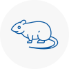 Rat Control Lee