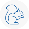 Lee Rodent Removals