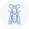 Lee Wasp Nest Removal